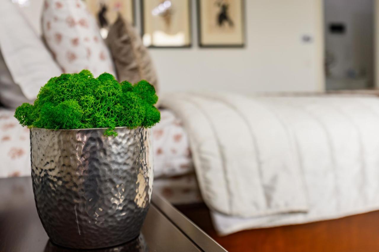 Luxury Apartment Avantgarden 3 Brasov Ngoại thất bức ảnh